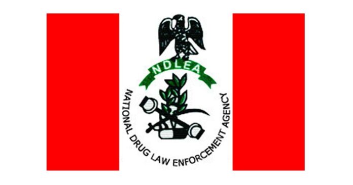 NDLEA Salary Structure and Ranks