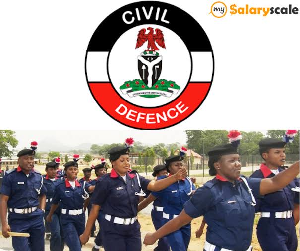 Nigeria Civil Defence Salary