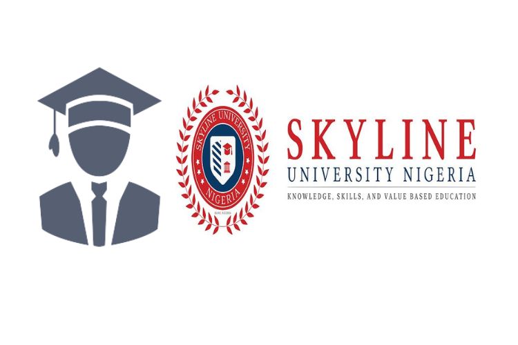 Latest Job Vacancies at the Skyline University Nigeria
