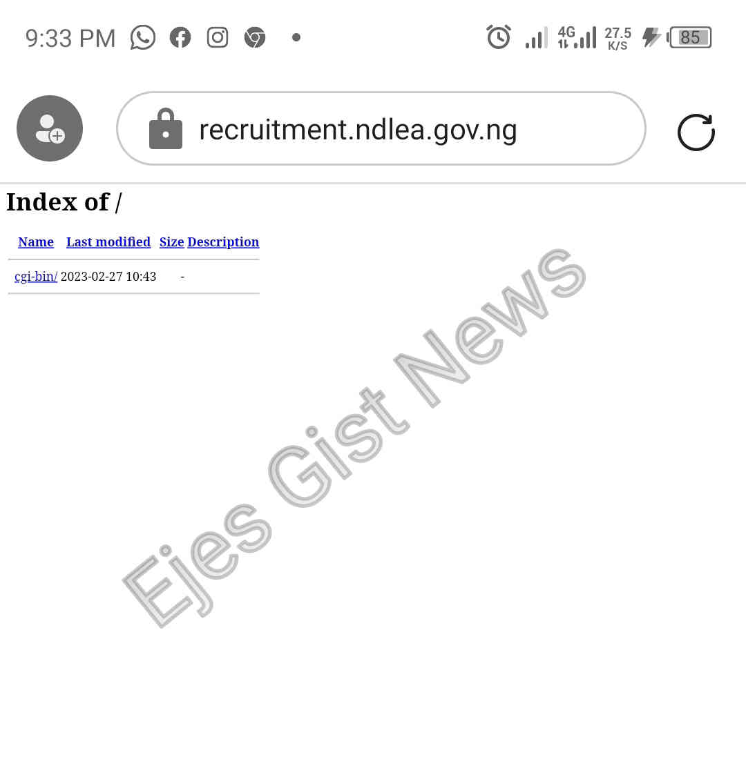 NDLEA Recruitment Portal