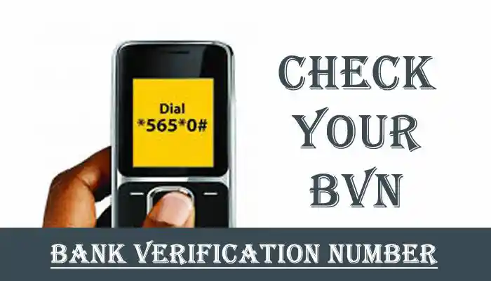 How to check BVN details online
