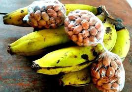 8 Reasons Why You Should eat Bananas and Groundnuts Regularly