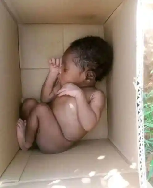 Newborn Baby Found Abandoned in a Carton, Receives Care