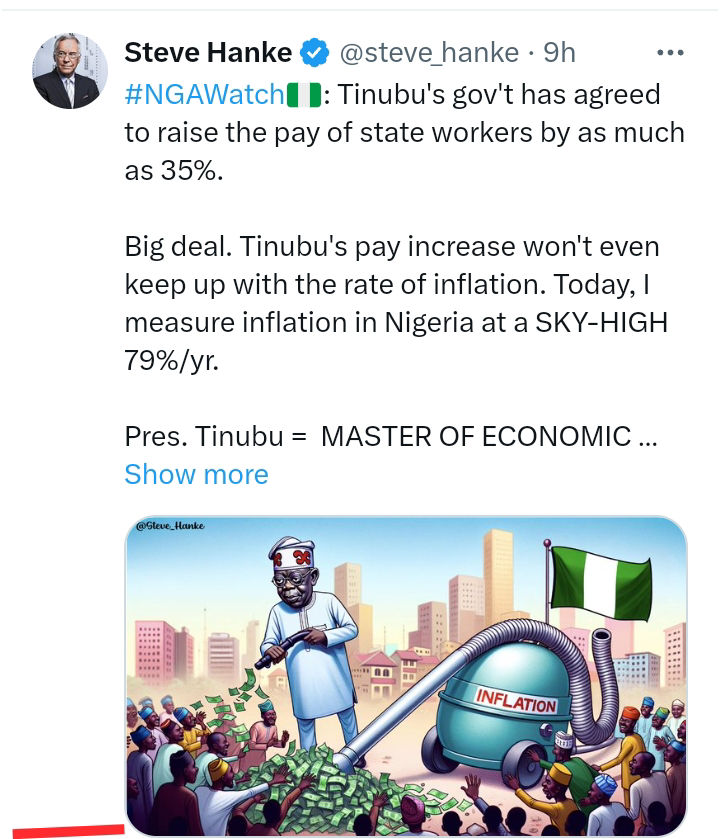 Renowned Economist Steve Hanke Slams President Tinubu as a 'Master of Economic Disaster